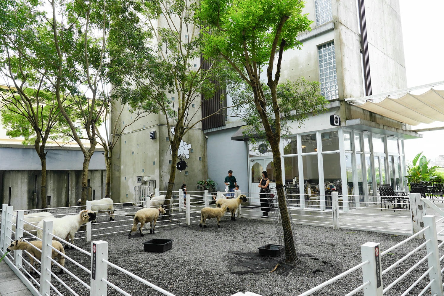 宜蘭|黑RURU CAFE ,有可愛笑笑羊的早午餐、咖啡廳 - 第5張圖