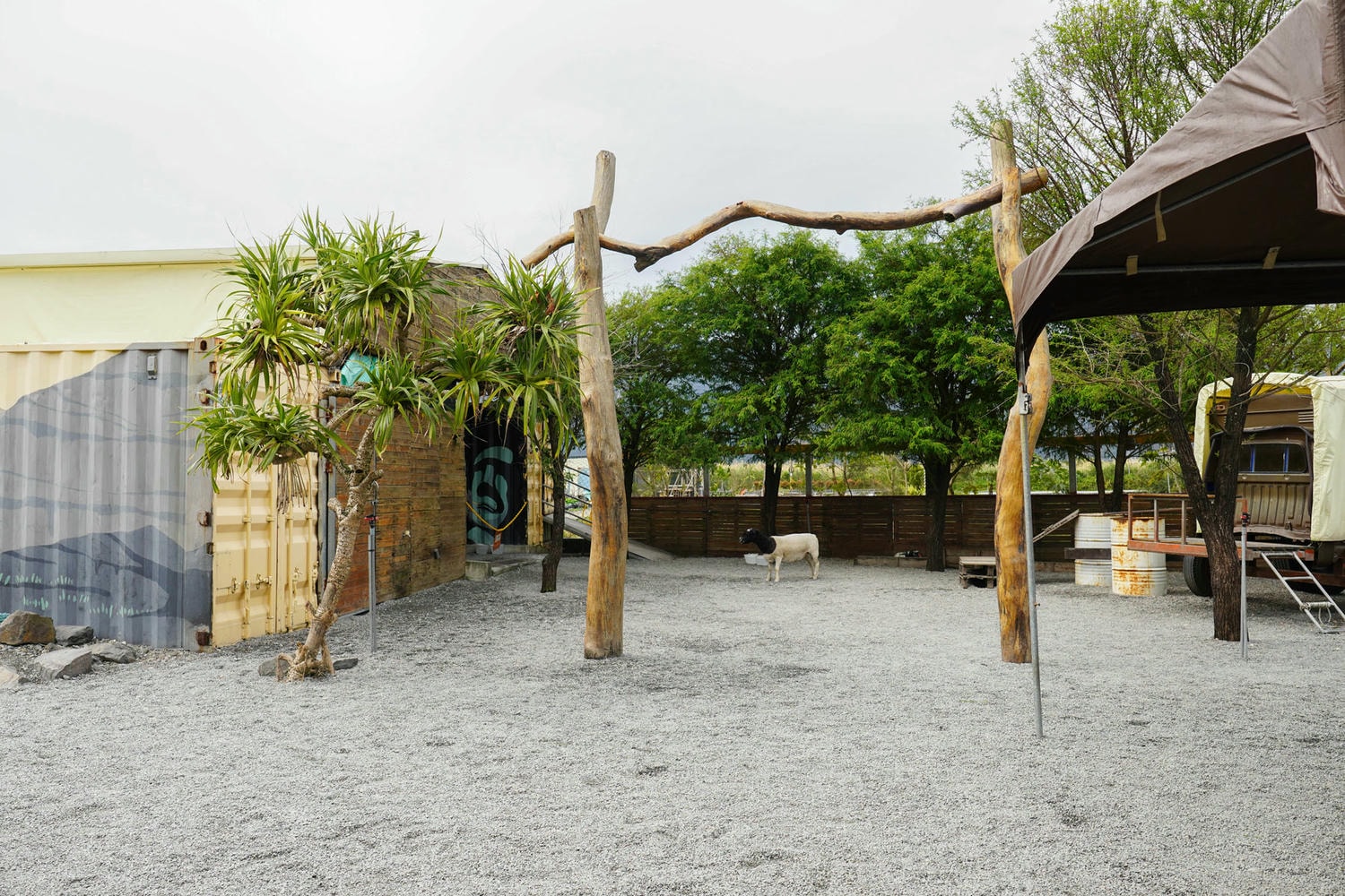 宜蘭礁溪親子景點推薦|回巢農場餵羊咩咩、水豚互動超療癒 - 第4張圖