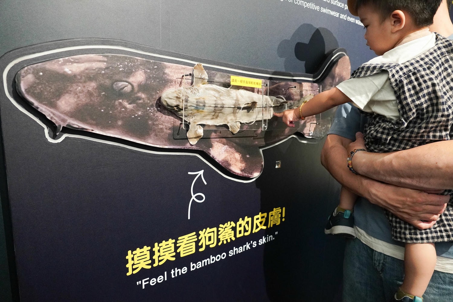 旅遊｜桃園青埔比你想的更好玩！搭高鐵親子一日遊